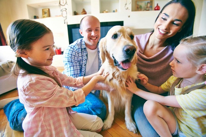 Having a dog reduces anxiety in kids - Study